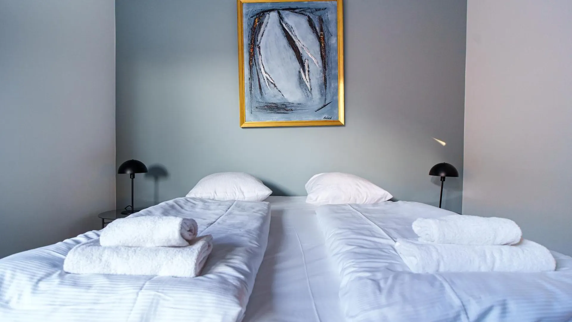 Spacious & Comfortable Apartment Near Tivoli & Metro Copenhagen 0*,